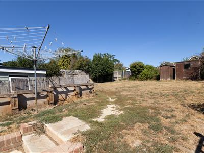 Picture 24